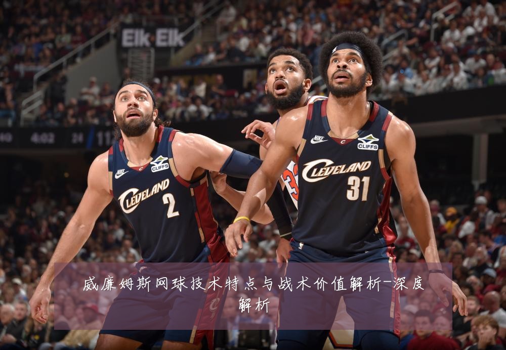 威廉姆斯网球技术特点与战术价值解析-深度解析