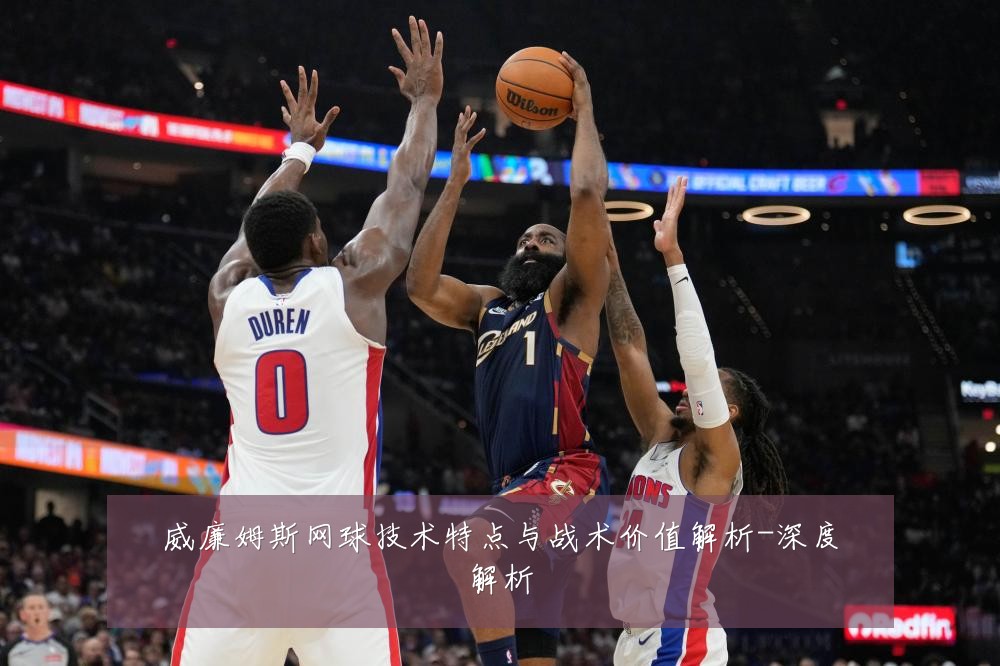 威廉姆斯网球技术特点与战术价值解析-深度解析