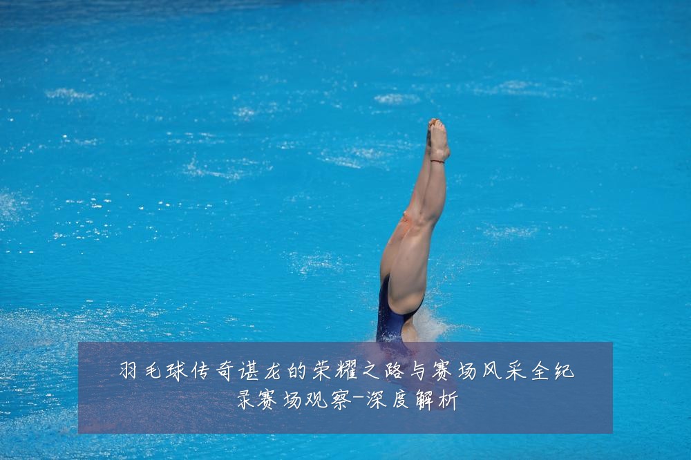 羽毛球传奇谌龙的荣耀之路与赛场风采全纪录赛场观察-深度解析