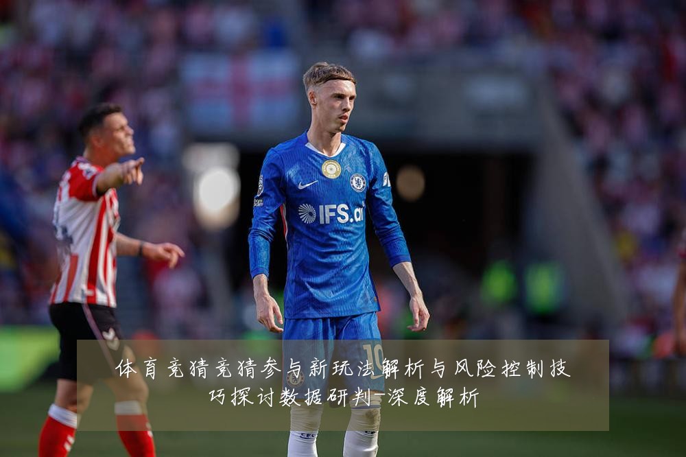 体育竞猜竞猜参与新玩法解析与风险控制技巧探讨数据研判-深度解析