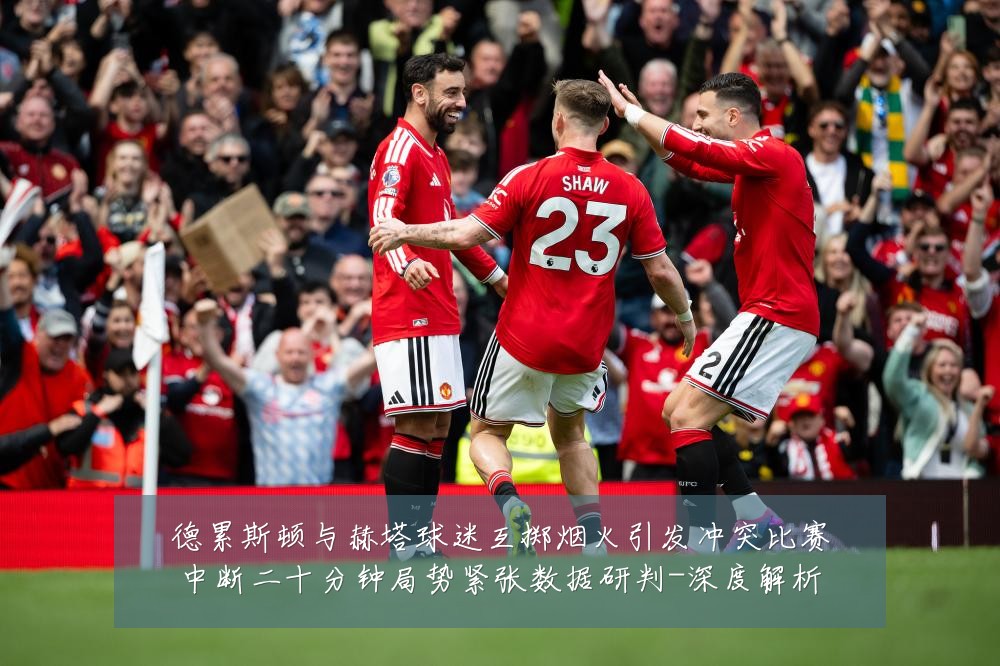 德累斯顿与赫塔球迷互掷烟火引发冲突比赛中断二十分钟局势紧张数据研判-深度解析